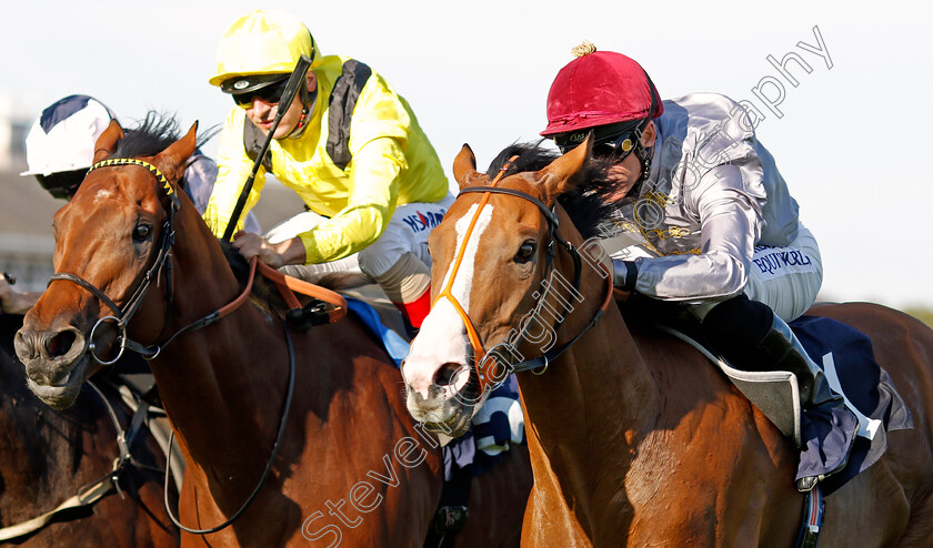 Qaysar-0006 
 QAYSAR (right, Pat Dobbs) beats BAYROOT (left) in The P J Towey Construction Ltd Handicap
Doncaster 14 Sep 2019 - Pic Steven Cargill / Racingfotos.com