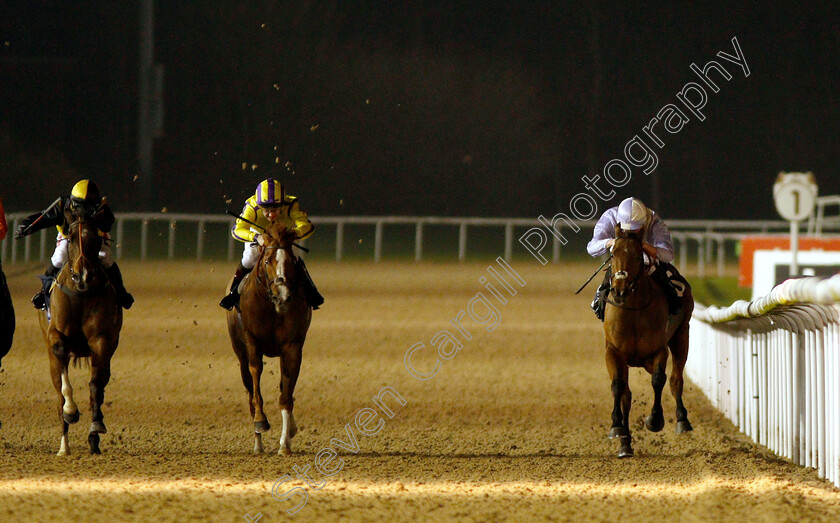 Berlusca-0001 
 BERLUSCA (right, Mark Crehan) beats RUBENSIAN (centre) and LUNAR DEITY (left) in The Betway Apprentice Handicap
Wolverhampton 10 Dec 2018 - Pic Steven Cargill / Racingfotos.com