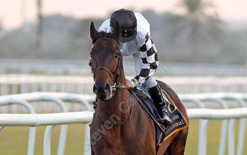 Royal-Julius-0002 
 ROYAL JULIUS (Stephane Pasquier) winner of The Bahrain International Trophy
Bahrain 22 Nov 2019 - Pic Steven Cargill / Racingfotos.com