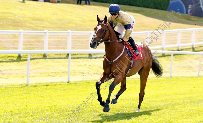 Aaddeey-0001 
 AADDEEY (Hollie Doyle)
Sandown 7 Jul 2023 - Pic Steven Cargill / Racingfotos.com