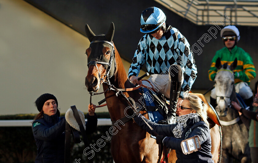 Nothing-To-Sea-0001 
 NOTHING TO SEA (M J M O'Sullivan)
Ascot 22 Nov 2024 - Pic Steven Cargill / Racingfotos.com