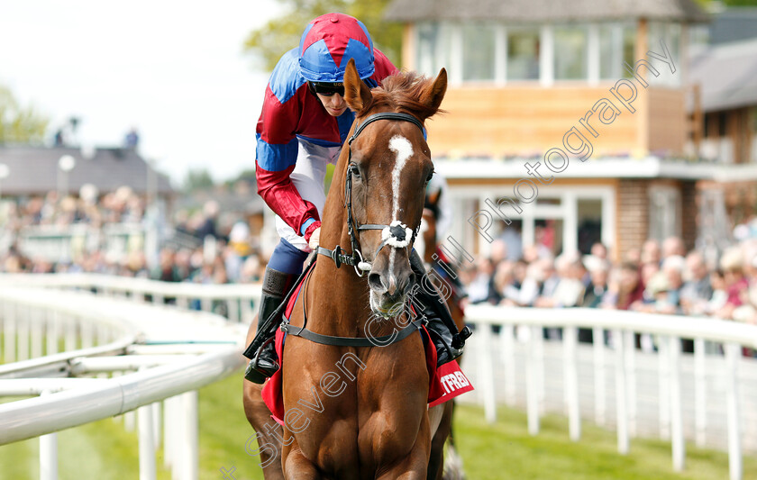 White-Mocha-0003 
 WHITE MOCHA (Jim Crowley)
York 17 May 2018 - Pic Steven Cargill / Racingfotos.com