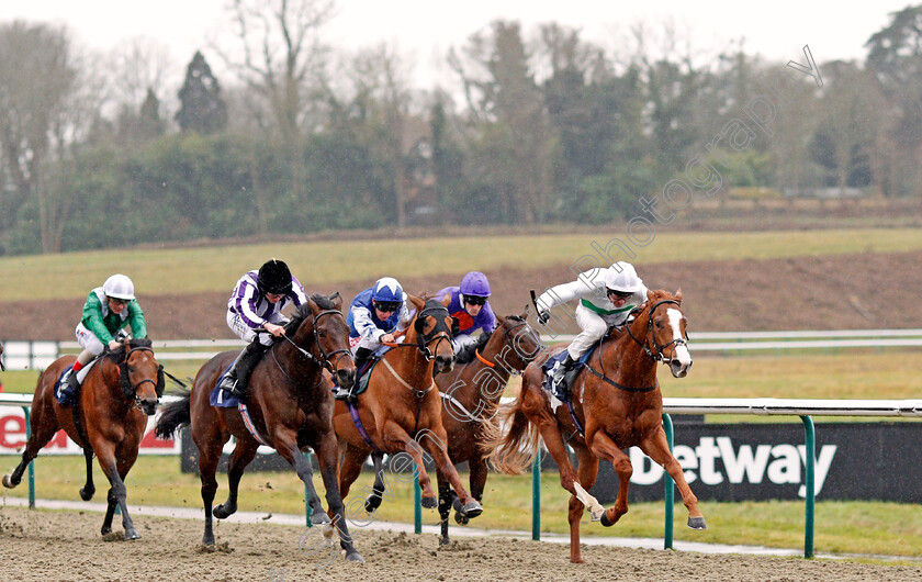 Utmost-0003 
 UTMOST (Robert Havlin) beats VICTORY BOND (left) in The Betway Winter Derby Trial Stakes Lingfield 3 Feb 2018 - Pic Steven Cargill / Racingfotos.com