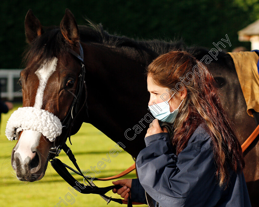 Lorca-0001 
 LORCA (David Probert)
Nottingham 4 Nov 2020 - Pic Steven Cargill / Racingfotos.com