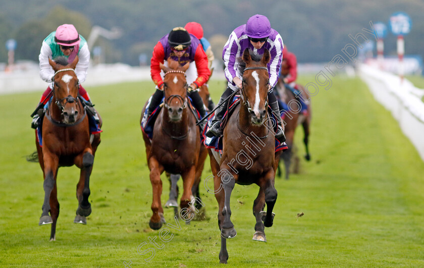 Continuous-0001 
 CONTINUOUS (Ryan Moore) wins The Betfred St Leger Stakes
Doncaster 16 Sep 2023 - Pic Steven Cargill / Racingfotos.com