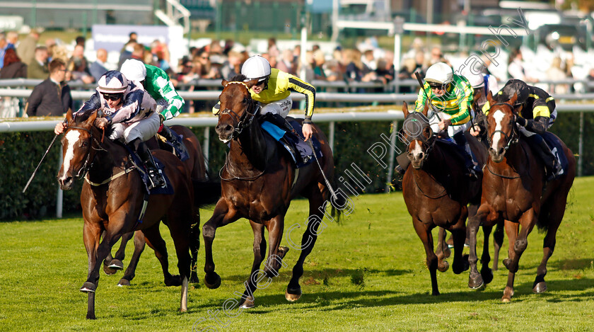 Harmonia-0004 
 HARMONIA (Richard Kingscote) beats PELLITORY (2nd left) in The Christmas Live @themovies At Doncaster Racecourse Nursery
Doncaster 12 Sep 2024 - Pic Steven Cargill / Racingfotos.com