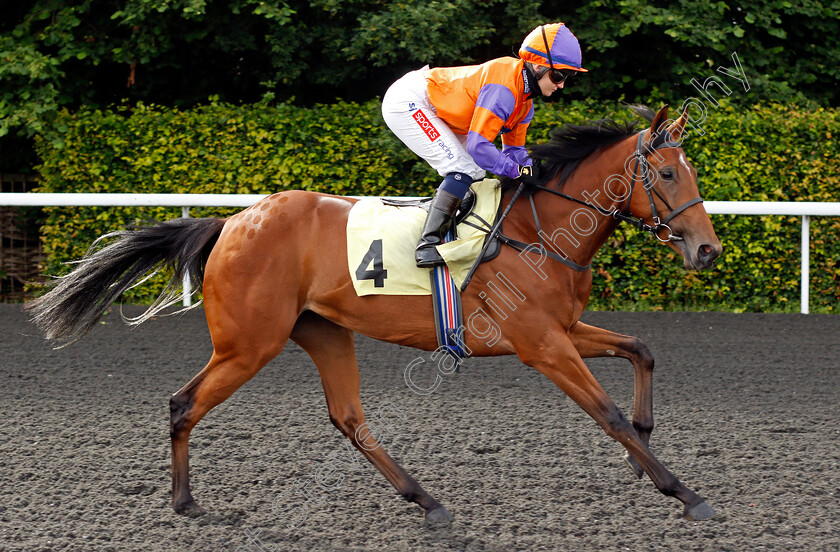 Eddy-May-0001 
 EDDY MAY (Hollie Doyle)
Kempton 30 Jun 2021 - Pic Steven Cargill / Racingfotos.com