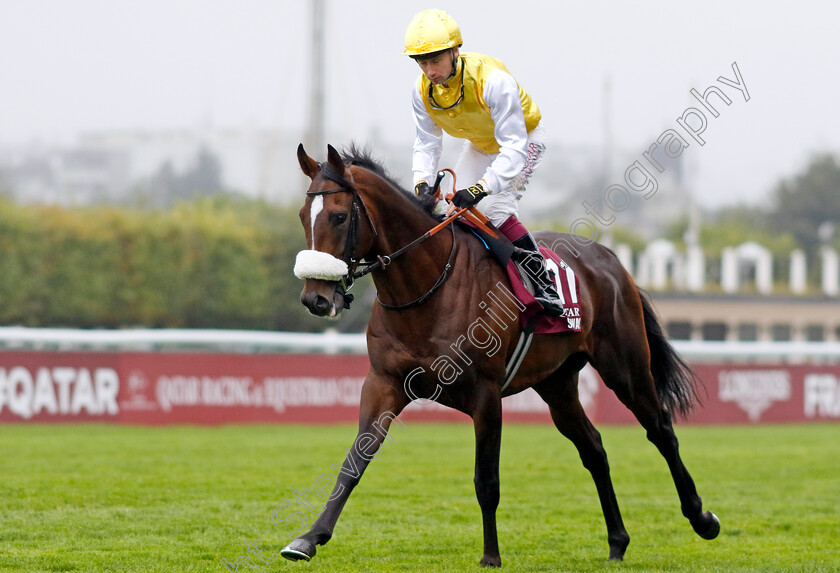 Sunway-0001 
 SUNWAY (Oisin Murphy)
Longchamp 6 Oct 2024 - Pic Steven Cargill / Racingfotos.com