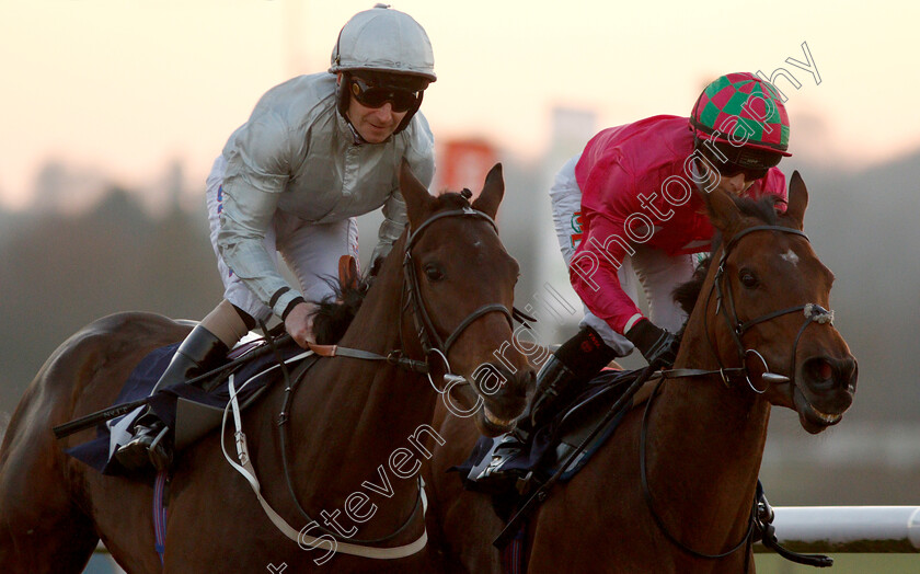 Bay-Of-Naples-0005 
 BAY OF NAPLES (left, Joe Fanning) beats SARASOTA (right) in The Sun Racing Novice Stakes
Wolverhampton 26 Feb 2019 - Pic Steven Cargill / Racingfotos.com