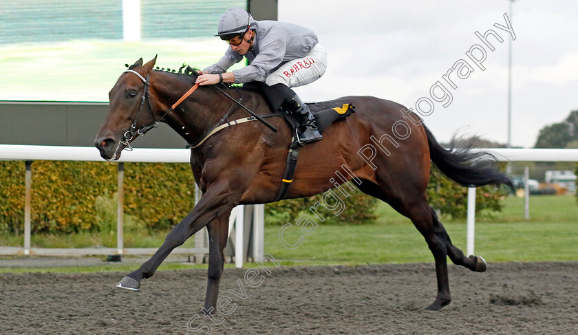 Night-Raider-0006 
 NIGHT RAIDER (Tom Marquand) wins The ebfstallions.com Conditions Stakes
Kempton 2 Oct 2024 - Pic Steven Cargill / Racingfotos.com