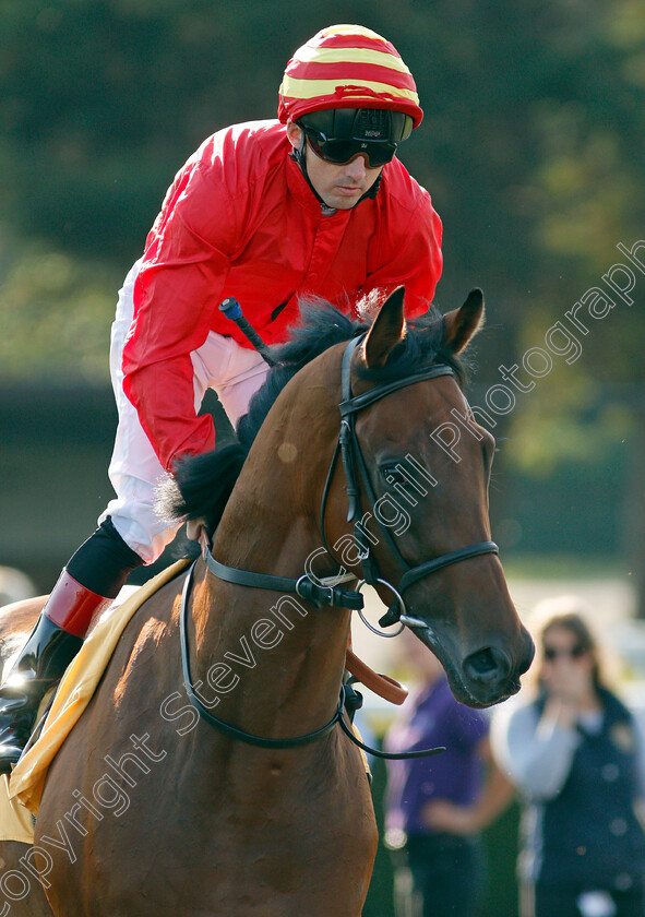 Schwartz-0001 
 SCHWARTZ (Martin Harley)
Kempton 4 Aug 2021 - Pic Steven Cargill / Racingfotos.com