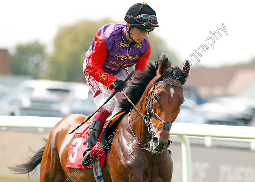 Space-Walk-0003 
 LIGHT BLUSH (James Doyle)
Sandown 25 Jul 2019 - Pic Steven Cargill / Racingfotos.com