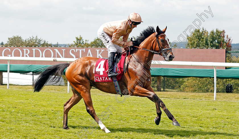 Dal-Horrisgle-0001 
 DAL HORRISGLE (Daniel Tudhope)
Goodwood 1 Aug 2019 - Pic Steven Cargill / Racingfotos.com