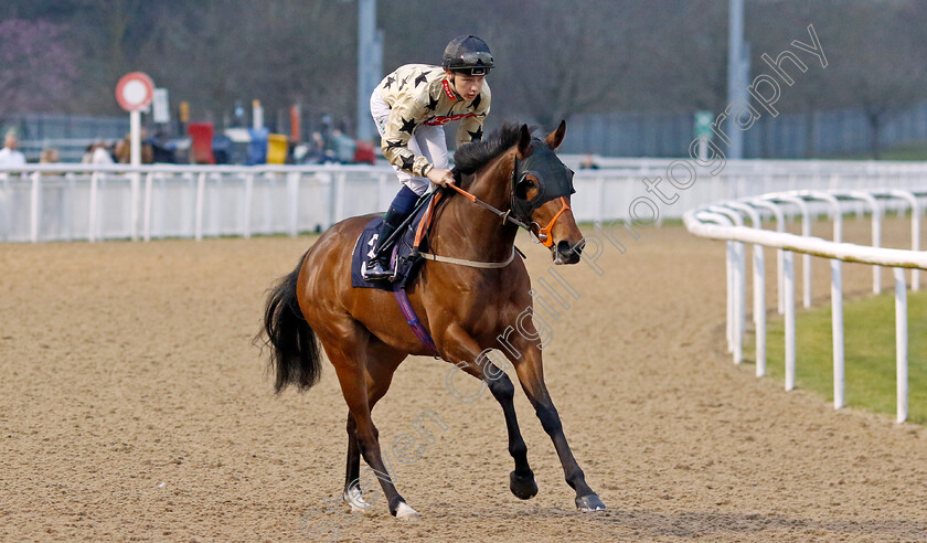 Queues-Likely-0005 
 QUEUES LIKELY (Billy Loughnane) winner of The Best Racing Odds Guaranteed At Betmgm Handicap
Wolverhampton 9 Mar 2024 - Pic Steven Cargill / Racingfotos.com