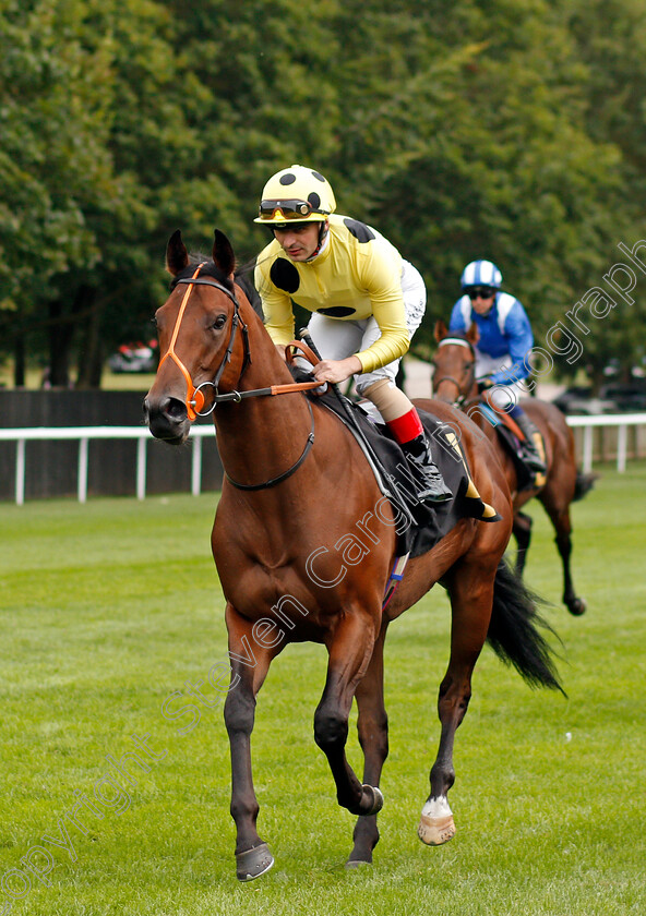 Razzle-Dazzle-0002 
 RAZZLE DAZZLE (Andrea Atzeni) winner of The Mansionbet Watch And Bet British EBF Novice Stakes
Newmarket 27 Aug 2021 - Pic Steven Cargill / Racingfotos.com