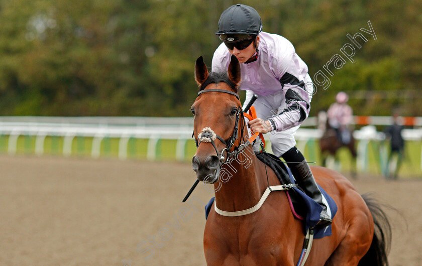 Hexagon-0001 
 HEXAGON (Jason Watson)
Lingfield 3 Oct 2019 - Pic Steven Cargill / Racingfotos.com