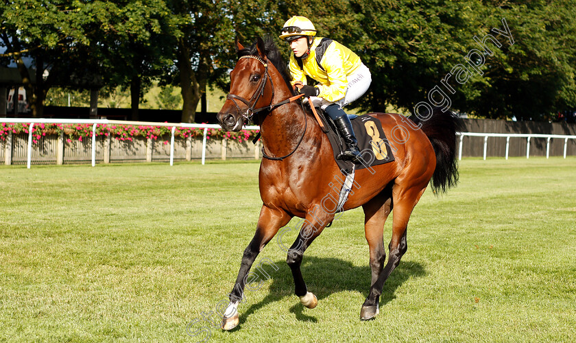 Nahaarr-0002 
 NAHAARR (Georgia Cox) winner of The Jigsaw Sports Branding Handicap
Newmarket 28 Jun 2019 - Pic Steven Cargill / Racingfotos.com