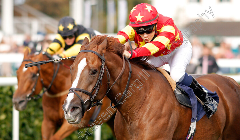 Athollblair-Boy-0003 
 ATHOLLBLAIR BOY (Izzy Clifton)
Doncaster 12 Sep 2019 - Pic Steven Cargill / Racingfotos.com