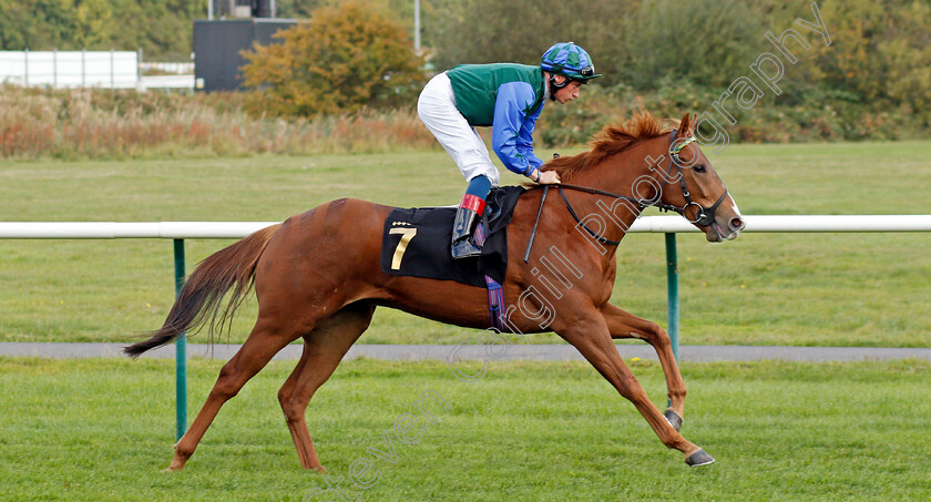 Moonlight-Dawn 
 MOONLIGHT DAWN (Sam James)
Nottingham 13 Oct 2021 - Pic Steven Cargill / Racingfotos.com