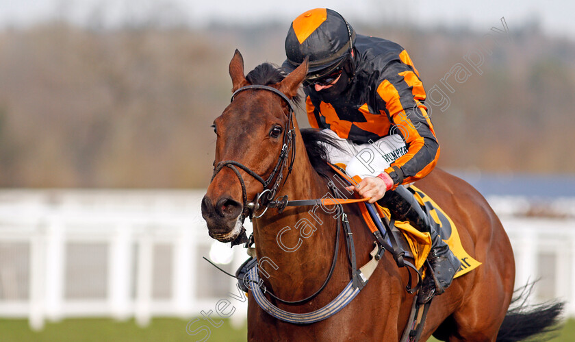 Thibault-0003 
 THIBAULT (Richard Patrick)
Ascot 20 Feb 2021 - Pic Steven Cargill / Racingfotos.com