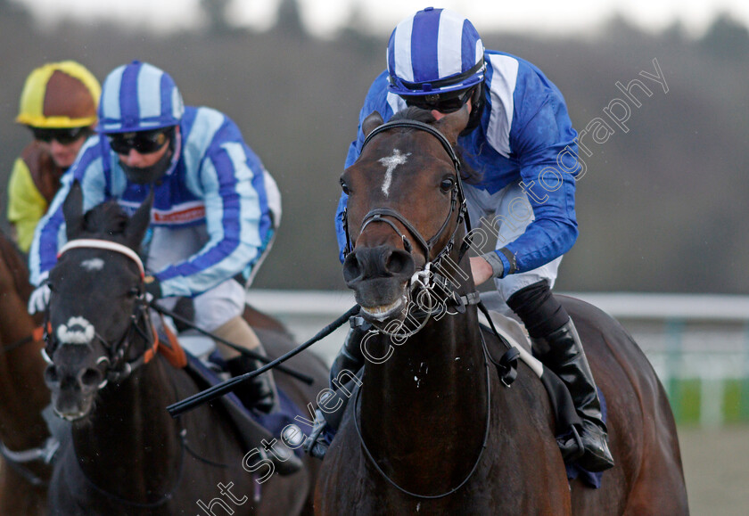 Al-Zaraqaan-0006 
 AL ZARAQAAN (Tom Marquand) wins The Betway Handicap
Lingfield 19 Dec 2020 - Pic Steven Cargill / Racingfotos.com