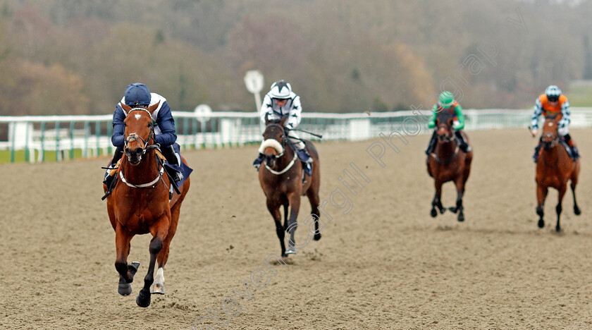 Carouse-0001 
 CAROUSE (Oisin Murphy) wins The 32Red Casino Claiming Stakes Lingfield 14 Feb 2018 - Pic Steven Cargill / Racingfotos.com