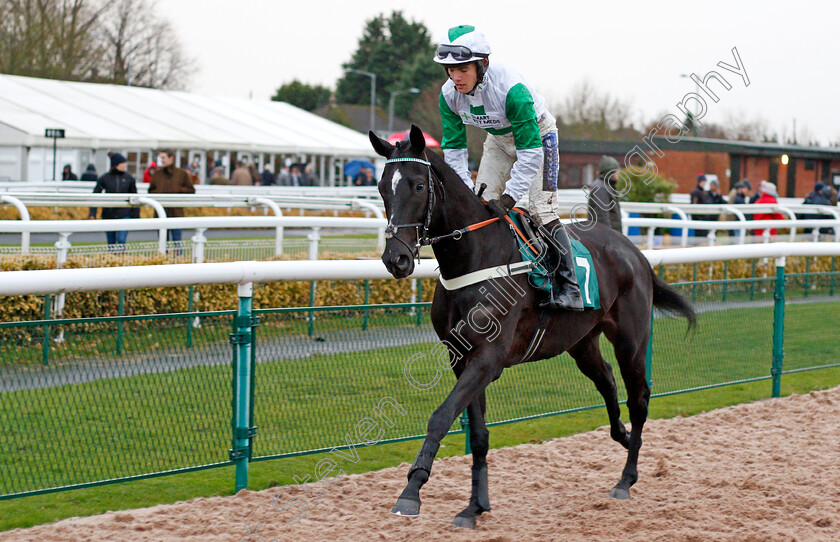 Fifrelet-0001 
 FIFRELET (Charlie Todd) winner of The M-Tec Consulting Group Standard Open National Hunt Flat Race
Warwick 12 Dec 2019 - Pic Steven Cargill / Racingfotos.com