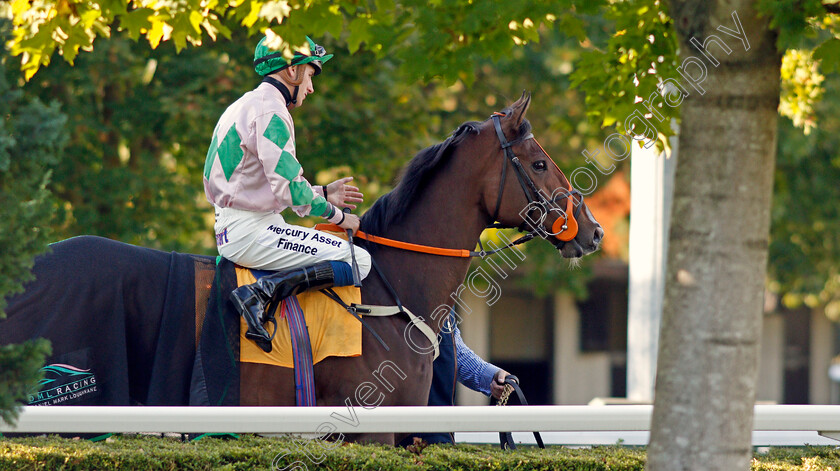 Magwadiri-0001 
 MAGWADIRI (Kevin Lundie)
Kempton 2 Oct 2019 - Pic Steven Cargill / Racingfotos.com