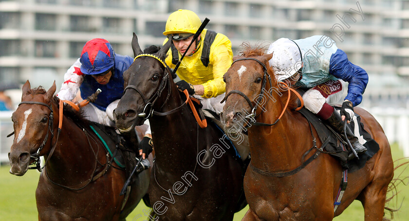 Ritchie-Valens-0006 
 RITCHIE VALENS (right, Oisin Murphy) beats TAMMOOZ (centre) and FANTASTIC BLUE (left) in The Oakgrove Graduates Handicap
Newbury 6 Aug 2019 - Pic Steven Cargill / Racingfotos.com