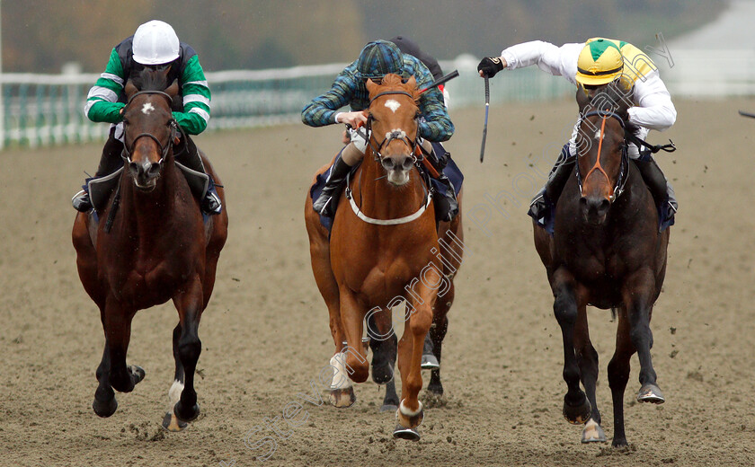 Silca-Mistress-0003 
 SILCA MISTRESS (centre, David Probert) beats HUMAN NATURE (right) and DRAKEFELL (left) in The Betway Sprint Handicap
Lingfield 20 Nov 2018 - Pic Steven Cargill / Racingfotos.com