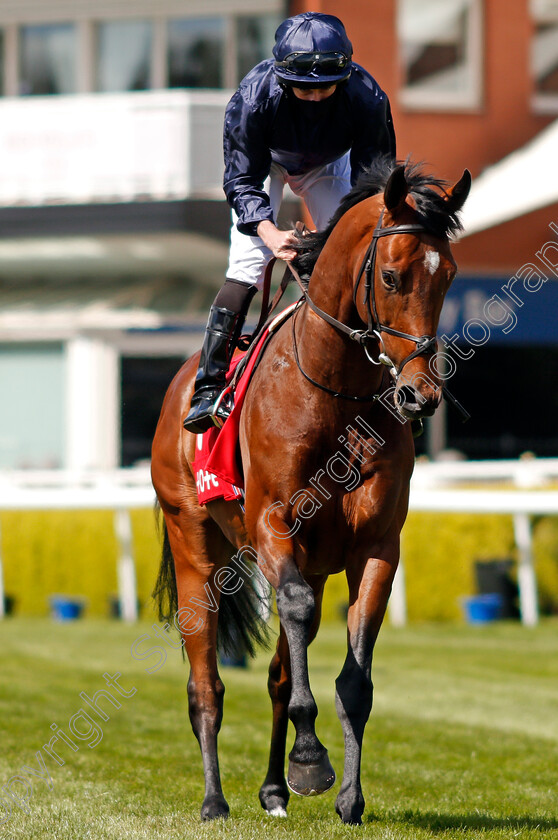 Ontario-0002 
 ONTARIO (Ryan Moore)
Chester 6 May 2021 - Pic Steven Cargill / Racingfotos.com