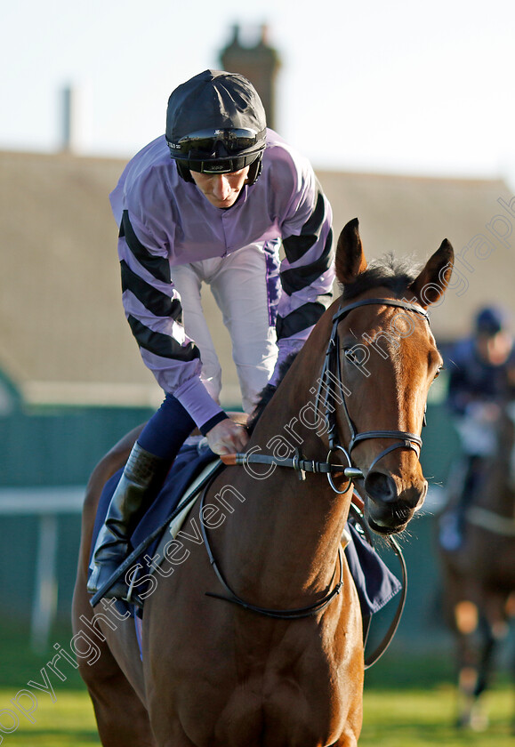 Alpine-Girl-0001 
 ALPINE GIRL (Daniel Muscutt)
Yarmouth 18 Oct 2022 - Pic Steven Cargill / Racingfotos.com