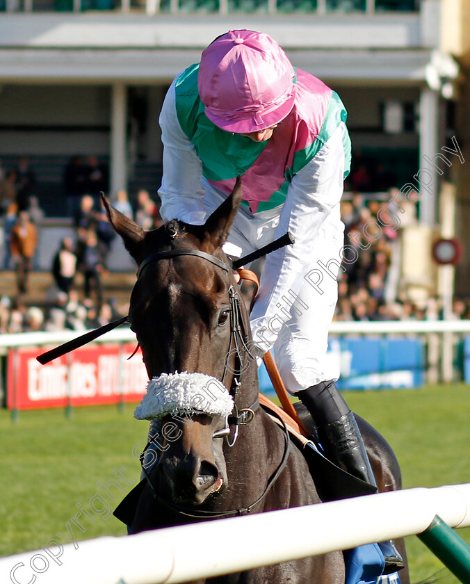 Array-0001 
 ARRAY (James Doyle)
Newmarket 14 Oct 2023 - Pic Steven Cargill / Racingfotos.com