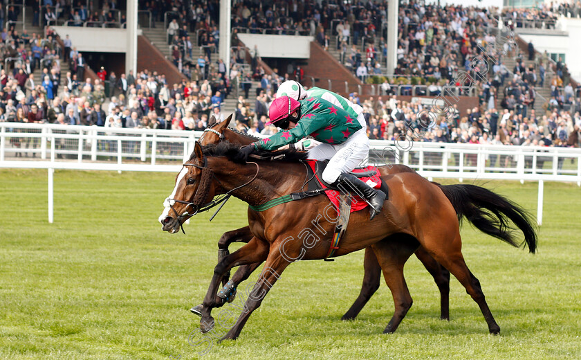 Mister-Whitaker-0004 
 MISTER WHITAKER (Jonathan Burke) wins The Cure Parkinson's And Hambo Foundation Silver Trophy Chase
Cheltenham 17 Apr 2019 - Pic Steven Cargill / Racingfotos.com