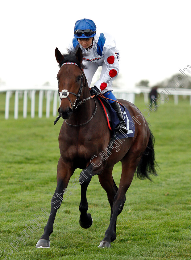 King-Of-The-Ring-0001 
 KING OF THE RING (Megan Nicholls) 
Bath 17 Oct 2018 - Pic Steven Cargill / Racingfotos.com