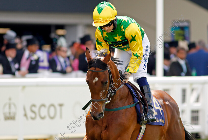 Royalty-Bay-0001 
 ROYALTY BAY (Jason Hart)
Royal Ascot 21 Jun 2024 - Pic Steven Cargill / Racingfotos.com