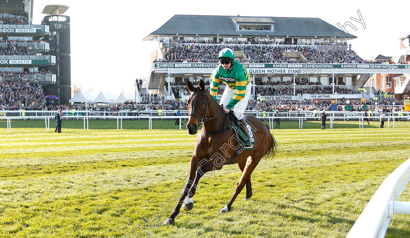 Minella-Rocco-0001 
 MINELLA ROCCO (Richie McLernon)
Aintree 6 Apr 2019 - Pic Steven Cargill / Racingfotos.com