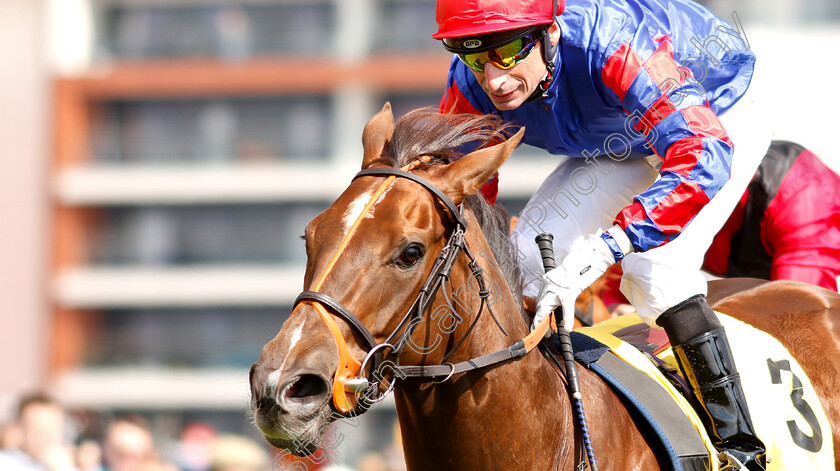 Dandhu-0005 
 DANDHU (Gerald Mosse) wins The Dubai Duty Free Fred Darling Stakes
Newbury 13 Apr 2019 - Pic Steven Cargill / Racingfotos.com