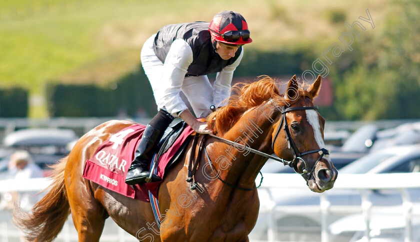 Kyprios-0006 
 KYPRIOS (Ryan Moore) winner of The Al Shaqab Goodwood Cup
Goodwood 30 Jul 2024 - Pic Steven Cargill / racingfotos.com