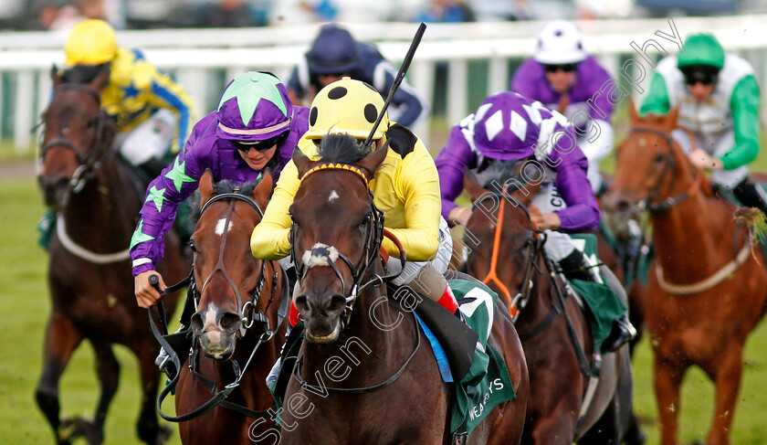 Laugh-A-MInute-0004 
 LAUGH A MINUTE (Andrea Atzeni) wins The Weatherbys Racing Bank £300,000 2-y-o Stakes Doncaster 14 Sep 2017 - Pic Steven Cargill / Racingfotos.com