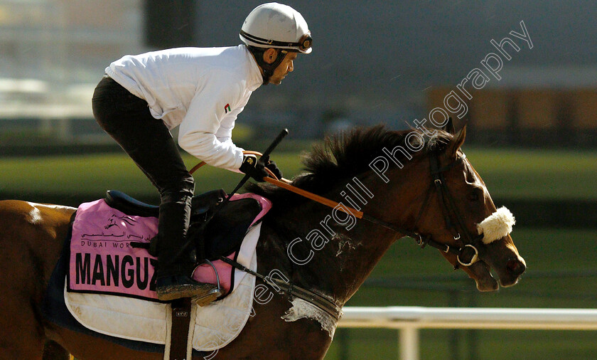 Manguzi-0001 
 MANGUZI training for The UAE Derby
Meydan 28 Mar 2019 - Pic Steven Cargill / Racingfotos.com