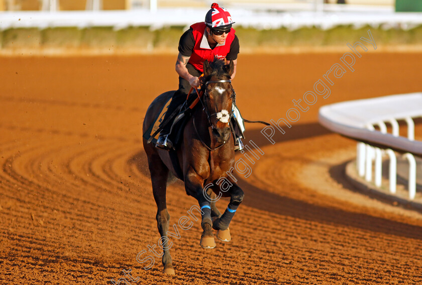 Astro-King-0002 
 ASTRO KING training for The Neom Turf Cup
King Abdulaziz Racecourse, Saudi Arabia 21 Feb 2024 - Pic Steven Cargill / Racingfotos.com