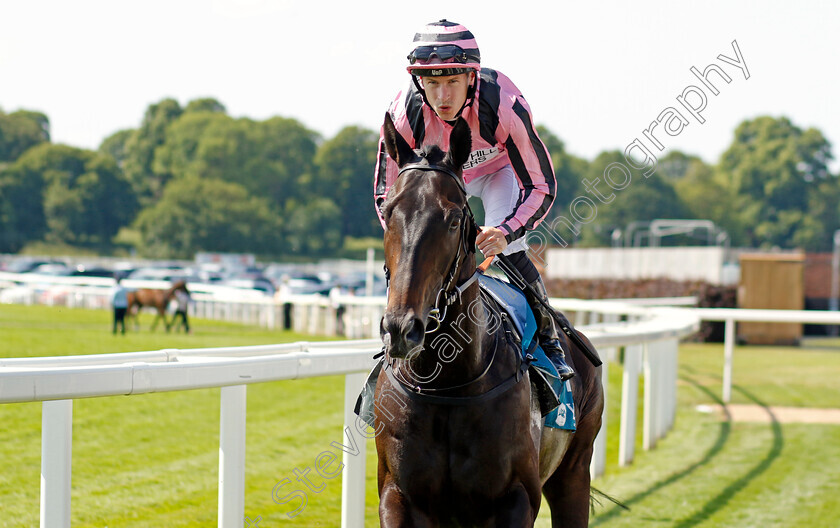 Chichester-0006 
 CHICHESTER (Richard Kingscote) winner of The Seat Unique Ganton Stakes
York 16 Jun 2023 - Pic Steven Cargill / Racingfotos.com