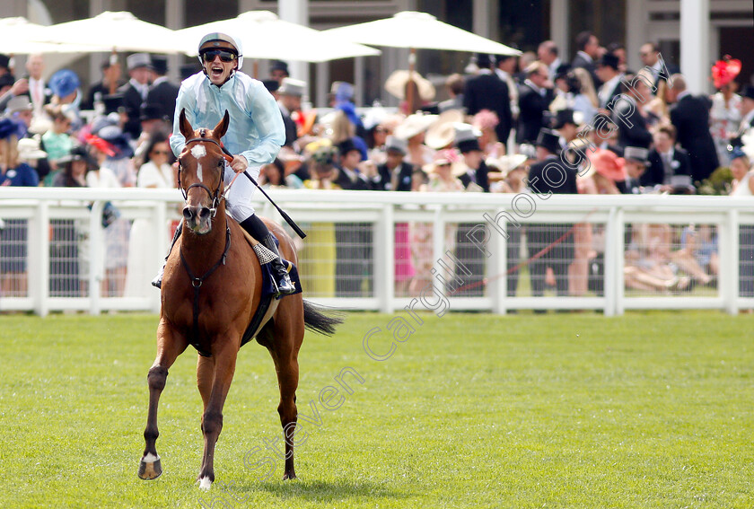 Watch-Me-0008 
 WATCH ME (Pierre-Charles Boudot) after The Coronation Stakes
Royal Ascot 21 Jun 2019 - Pic Steven Cargill / Racingfotos.com