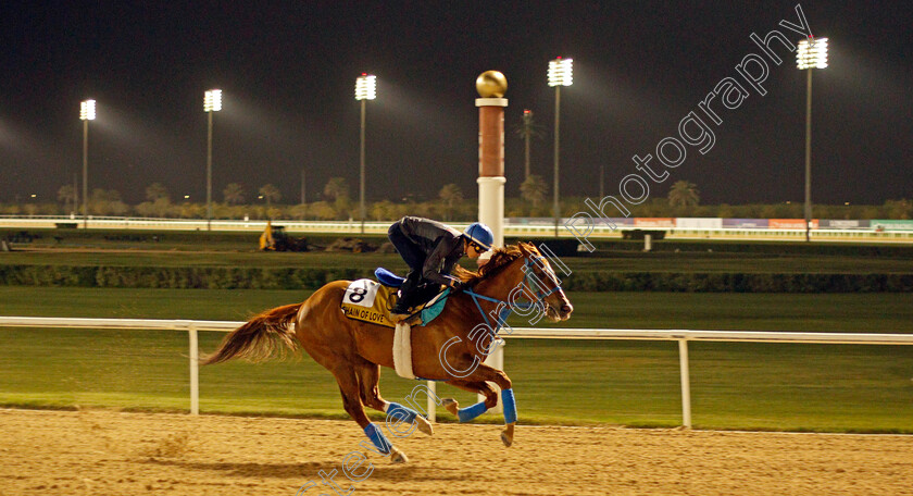 Chain-Of-Love-0001 
 CHAIN OF LOVE training for the Golden Shaheen
Meydan, Dubai, 23 Mar 2022 - Pic Steven Cargill / Racingfotos.com