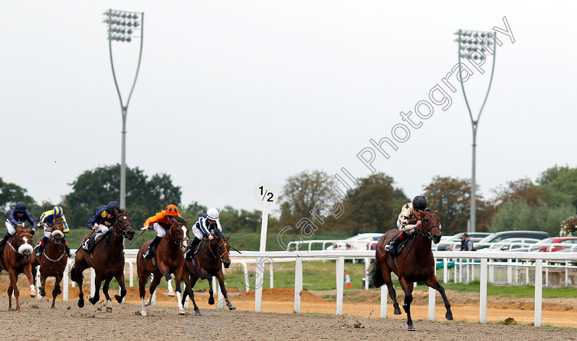 More-Than-Likely-0001 
 MORE THAN LIKELY (Shane Kelly) wins The Bet toteplacepot At totesport.com Novice Auction Stakes
Chelmsford 6 Sep 2018 - Pic Steven Cargill / Racingfotos.com