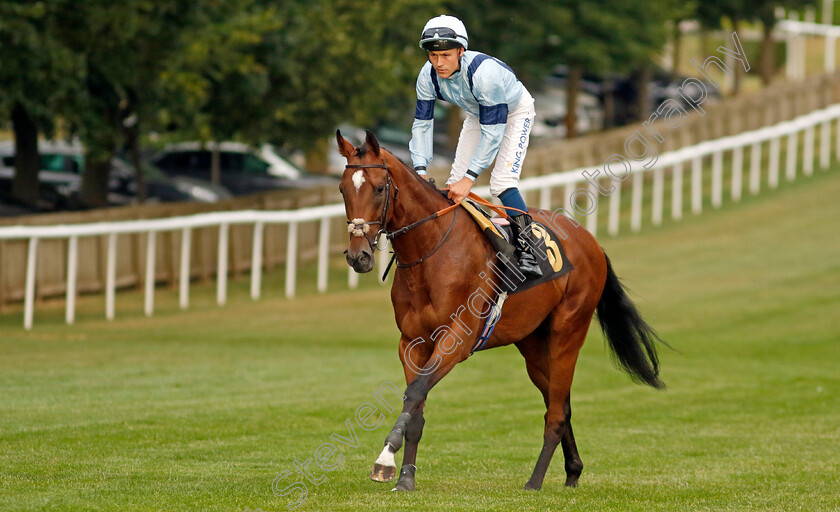 Noble-Run-0002 
 NOBLE RUN (William Carver)
Newmarket 22 Jul 2022 - Pic Steven Cargill / Racingfotos.com