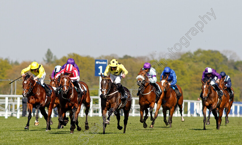 Cold-Case-0006 
 COLD CASE (centre, Clifford Lee) beats BRADSELL (2nd left) in The British Racing School 40th Anniversary Commonwealth Cup Trial Stakes
Ascot 3 May 2023 - Pic Steven Cargill / Racingfotos.com