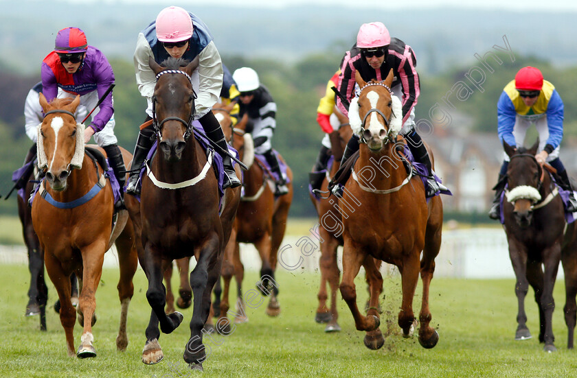 Keepup-Kevin-0004 
 KEEPUP KEVIN (Callum Shepherd) wins The Very Happy Retirement Bill Gray Handicap Div2
Beverley 29 May 2019 - Pic Steven Cargill / Racingfotos.com