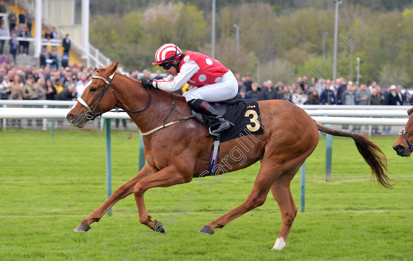 Umming-N -Ahing-0006 
 UMMING N' AHING (Rose Dawes) wins The Castle Rock Neil Kelso Memorial Handicap
Nottingham 22 Apr 2023 - pic Steven Cargill / Becky Bailey / Racingfotos.com